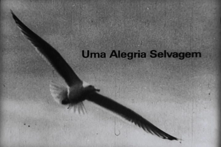 Alegria Selvagem, Uma